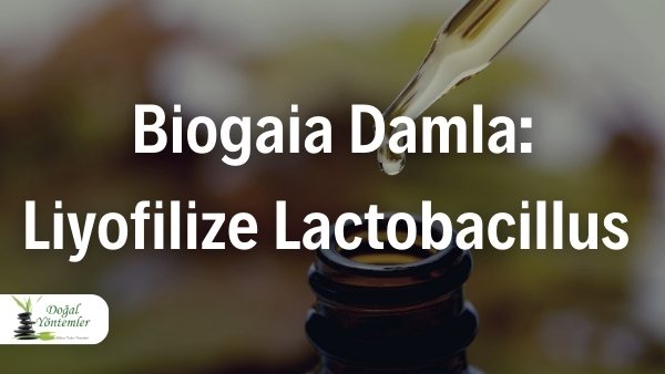 Biogaia Damla Liyofilize Lactobacillus